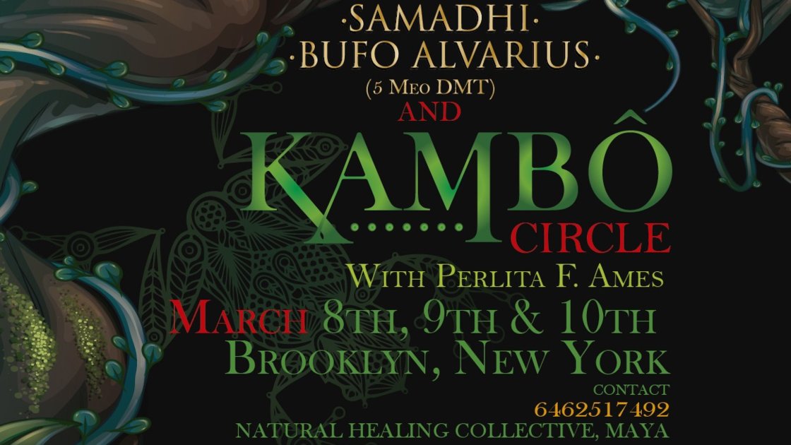 Sacred Medicine Kambó w/Perlita Ames