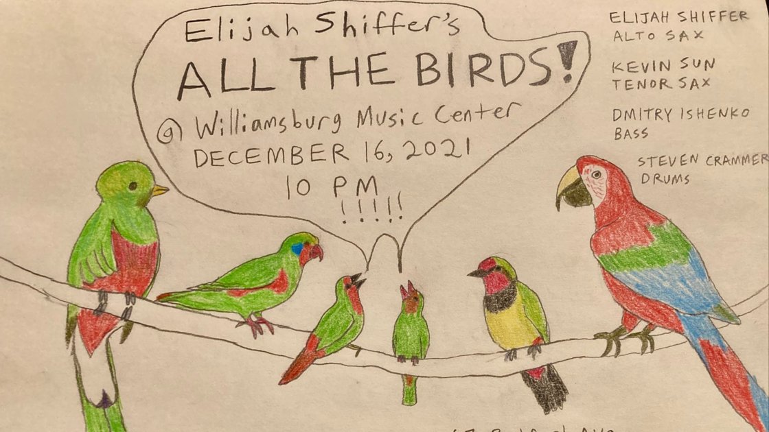 All The Birds: Elijah Shiffer