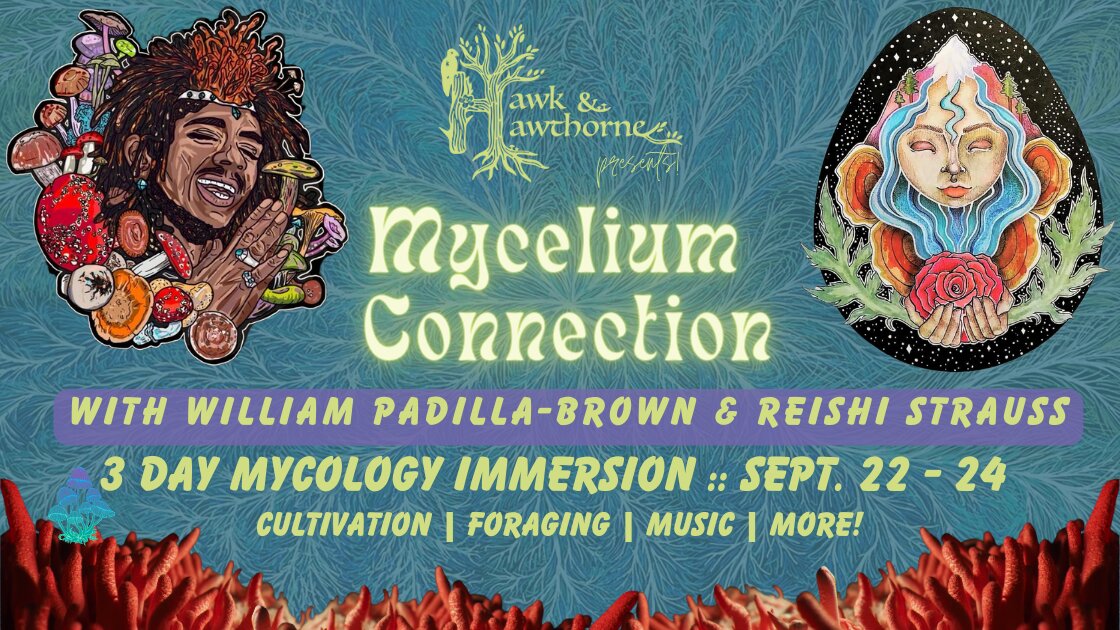 Mycelium Connection Campout w/ William Padilla-Brown & Reishi Strauss