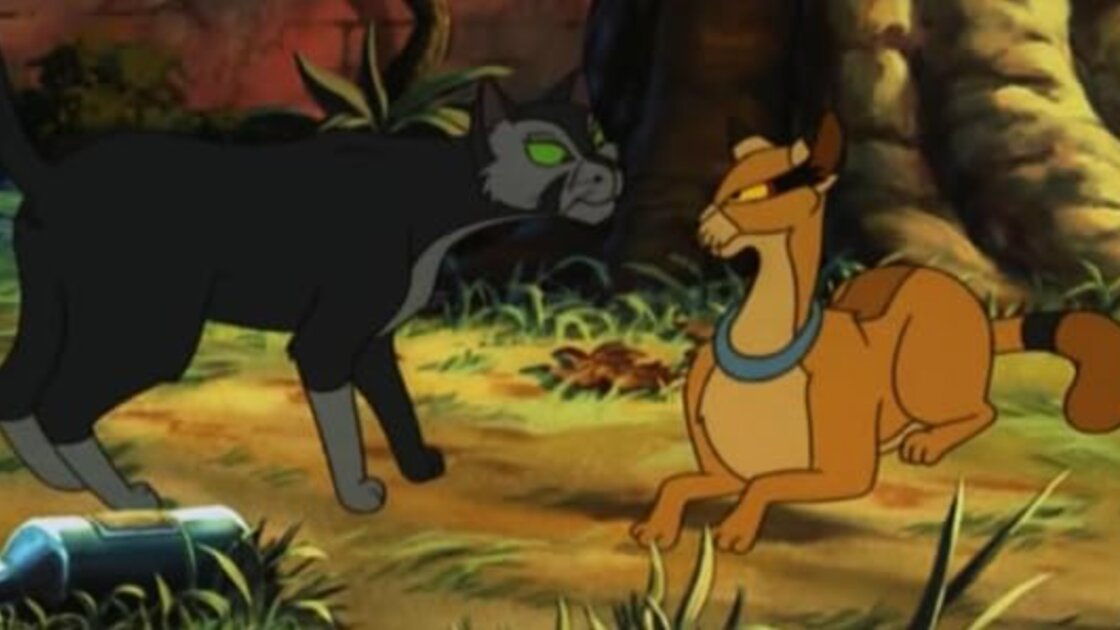 Felidae