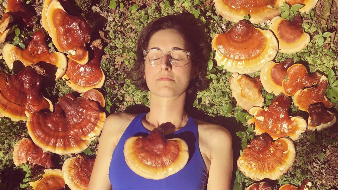 A Guided Wild Edible & Medicinal Fungi Foraging Experience