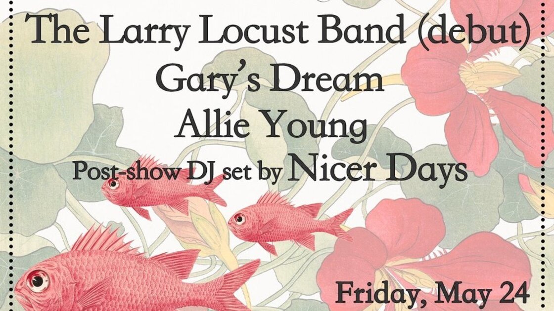 The Larry Locust Band / Gary's Dream / Allie Young / Nicer Days (DJ Set)