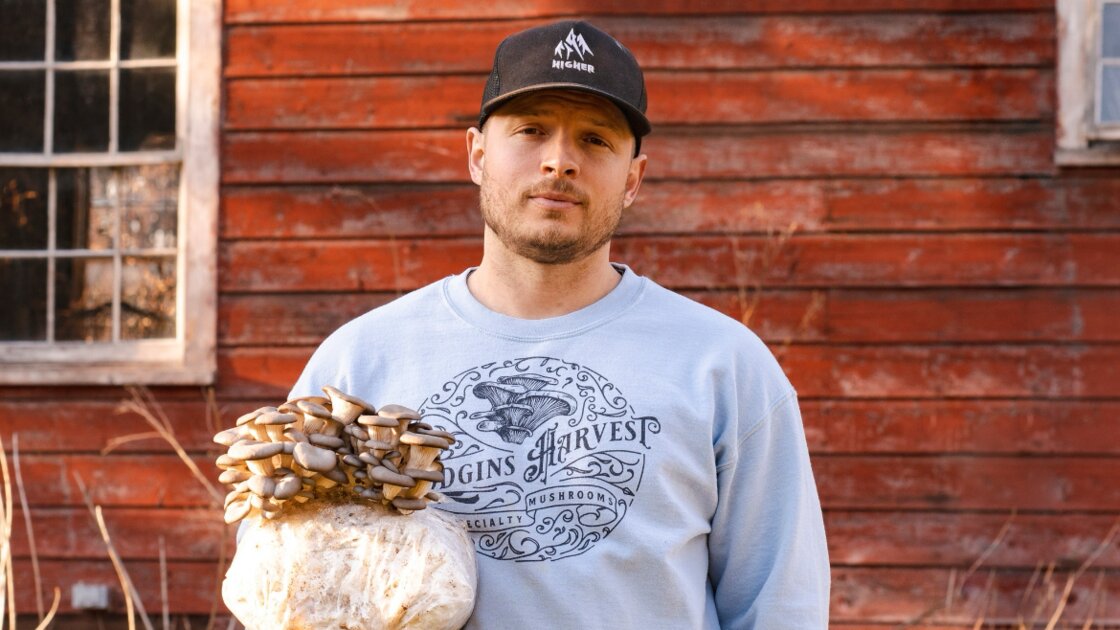 Mushroom Growing with Hodgins Harvest