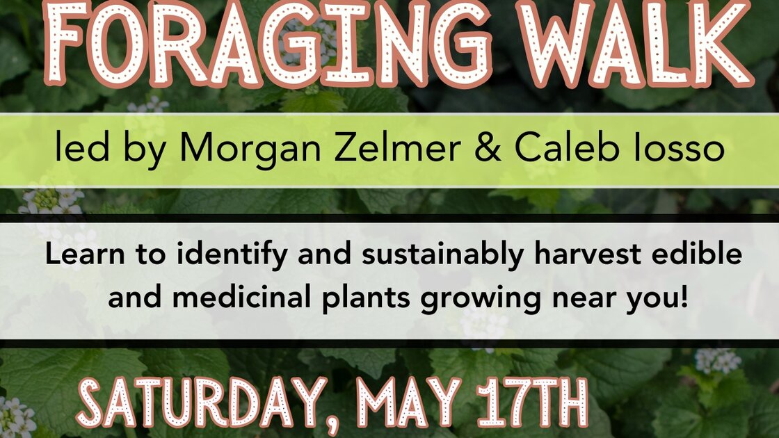 Foraging Walk