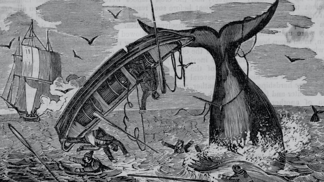 Haul Away! A Sea Shanty Singing Workshop with Ali Dineen