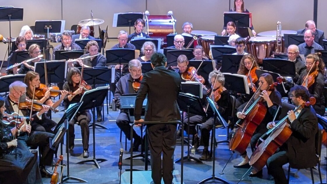 Lincoln-Sudbury Civic Orchestra Chamber Players