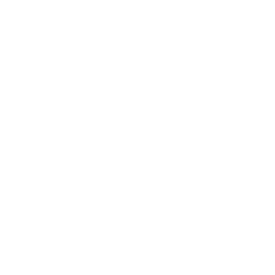 The Brooklyn International Music Fest