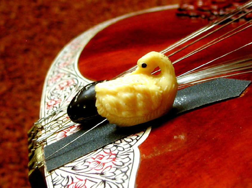 Private Sitar Lessons with Bharti Chokshi