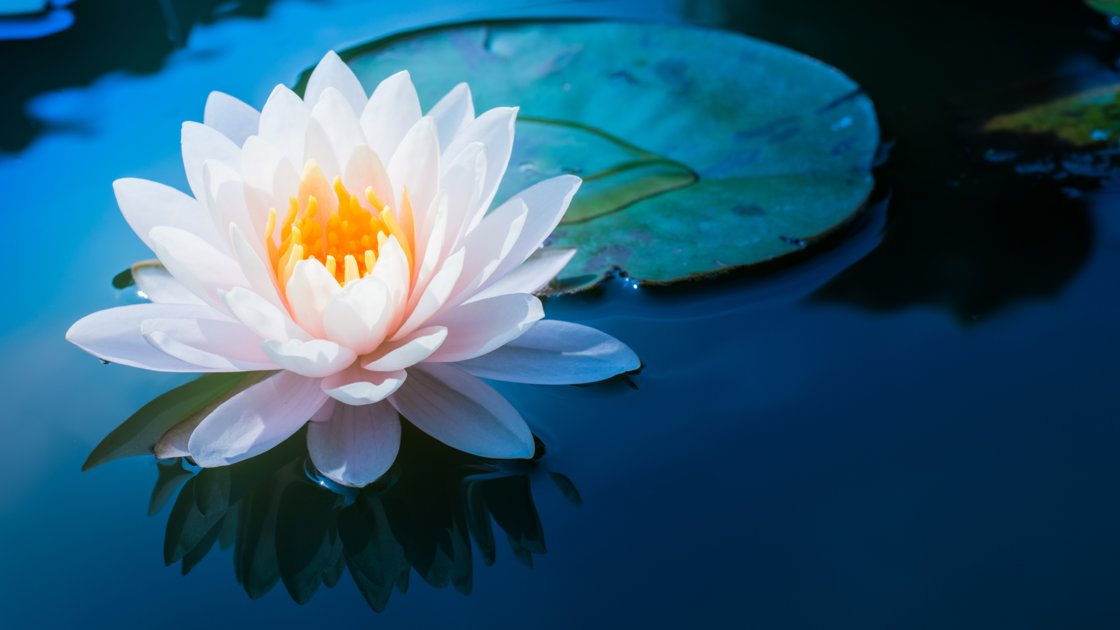 Sanskrit Chants